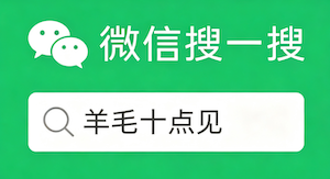 羊毛十点见
