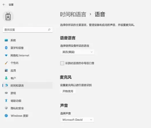 语音输入