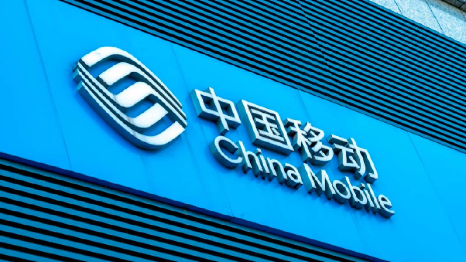 网龄福利日